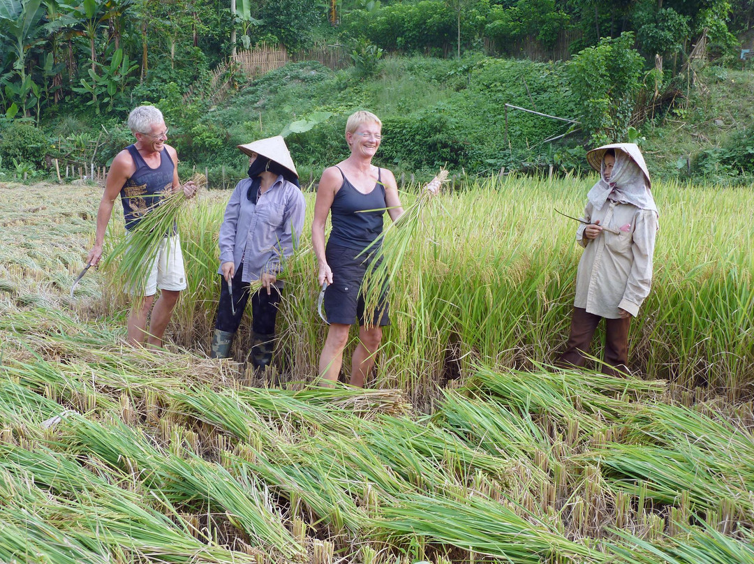 Duc Minh Travel - Day Tours