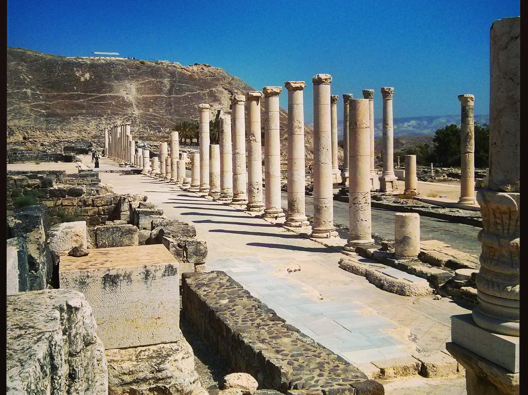 Yoni Tours-特拉维夫必去景点