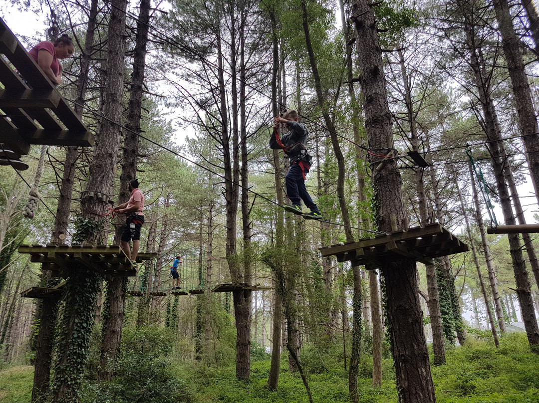 Arbre & Aventure - Côte Picarde-Quend-Plage必去景点