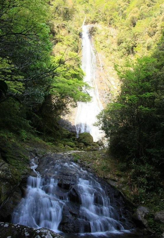 Nonotaki Waterfalls景点图片