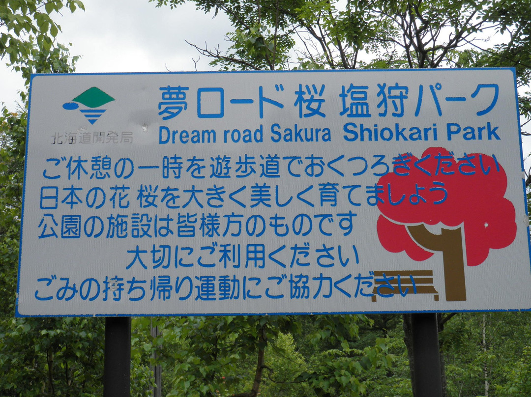 剑渊町旅游景点-Yume Road Sakura Shiokari Park