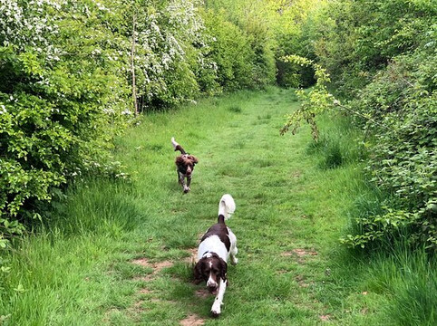 Hook & Hatchet Pub-梅德斯通必去景点