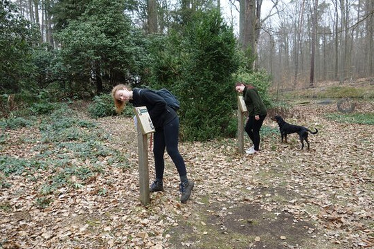 Sauener Wald-Rietz-Neuendorf必去景点