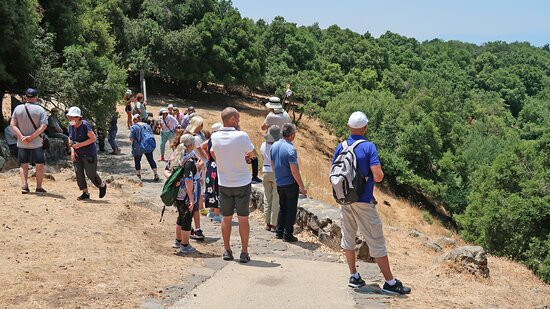 Big Juba in Ya'ar Odem-Odem必去景点