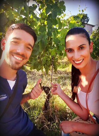 Azienda Agricola Mario Lucchetti-Morro d'Alba必去景点