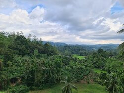 Rainforest Lodge主图