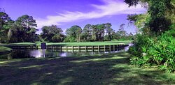 Amelia River Golf Club景点图片