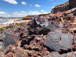 Long Reef Point景点图片