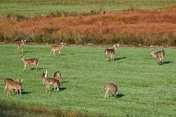 Noxubee National Wildlife Refuge-Brooksville必去景点