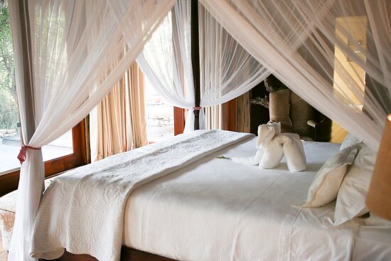 卓美亚狩猎酒店-客卧