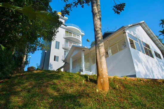 The Arbour Resort Munnar主图