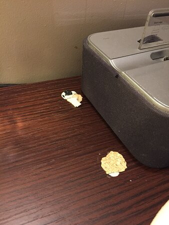 康福特加普森西奥酒店主图