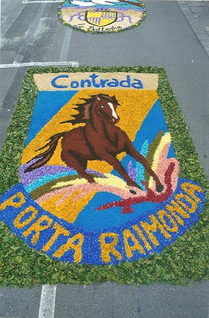 Infiorata Di Fucecchio景点图片