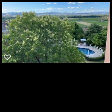 Boutique Hotel Al Grappolo d'Oro-客卧