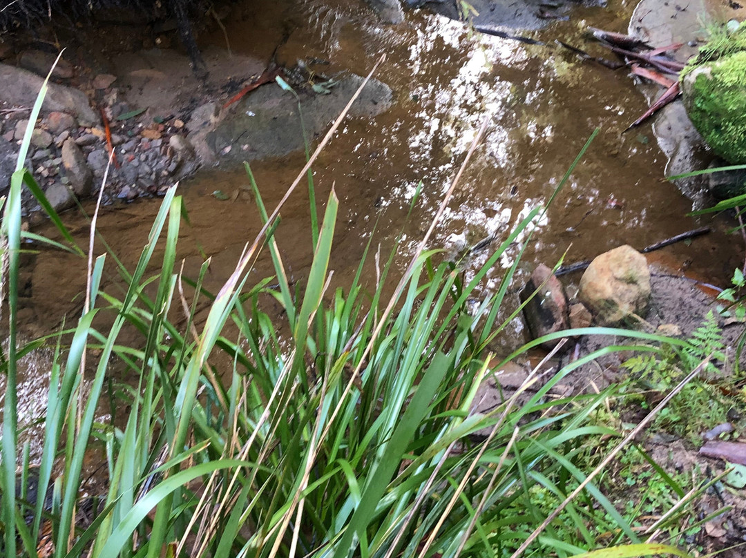 Sun Valley Fire Trail-Valley Heights必去景点
