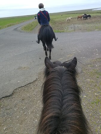 Lysuholl Short Rides-Snaefellsbaer必去景点