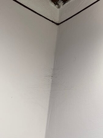泰努塔伊尔布尔基奥酒店主图