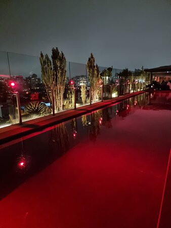 Hotel Unique-圣保罗必去景点