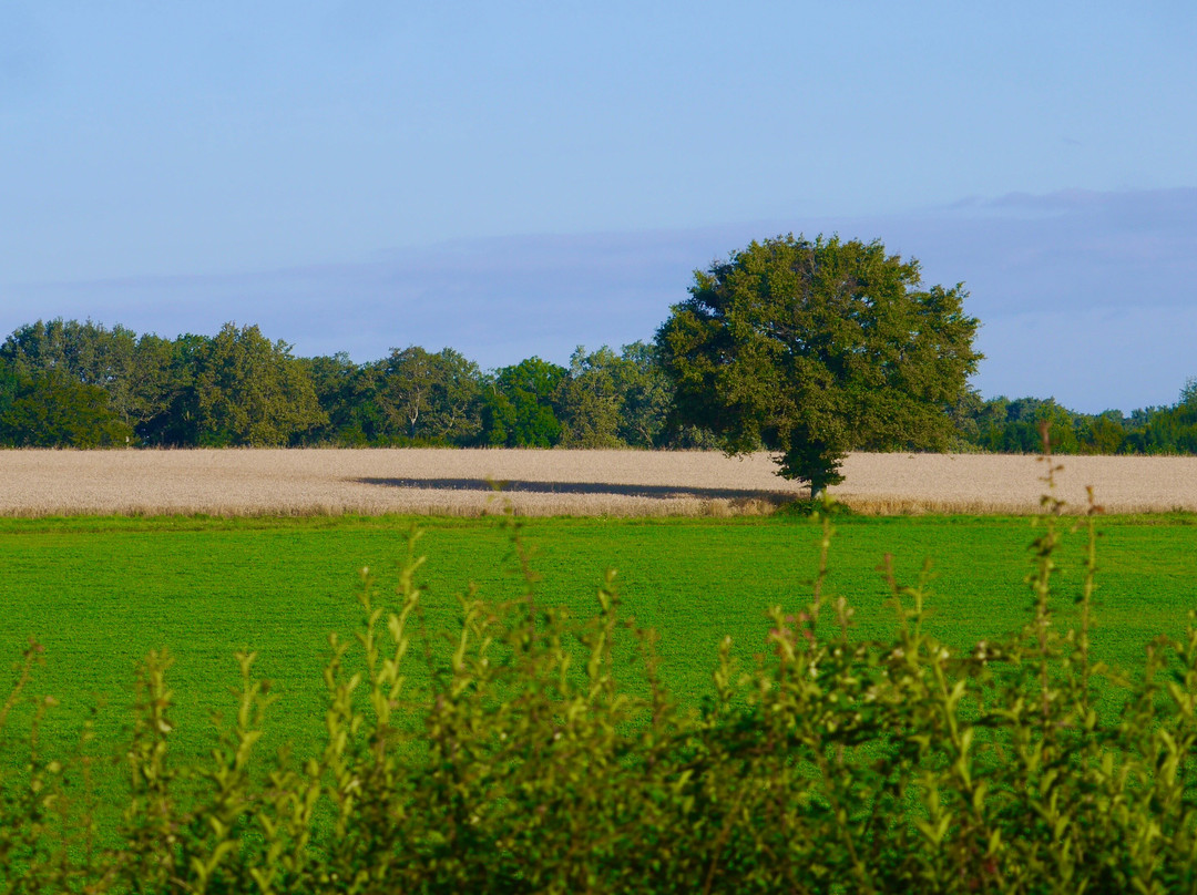 B&B La Foret