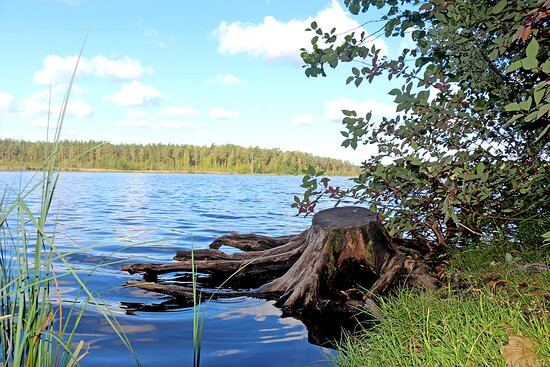National Park Shhuchye Lake-Komarovo必去景点