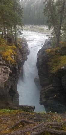 Crescent Falls Provincial Recreation Area景点图片