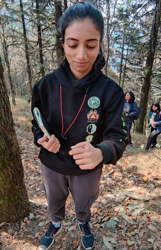 Forest Therapy India-Pangot必去景点