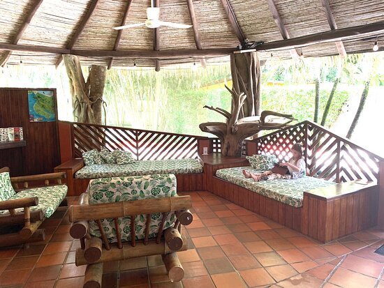 Hotel Flying Crocodile主图