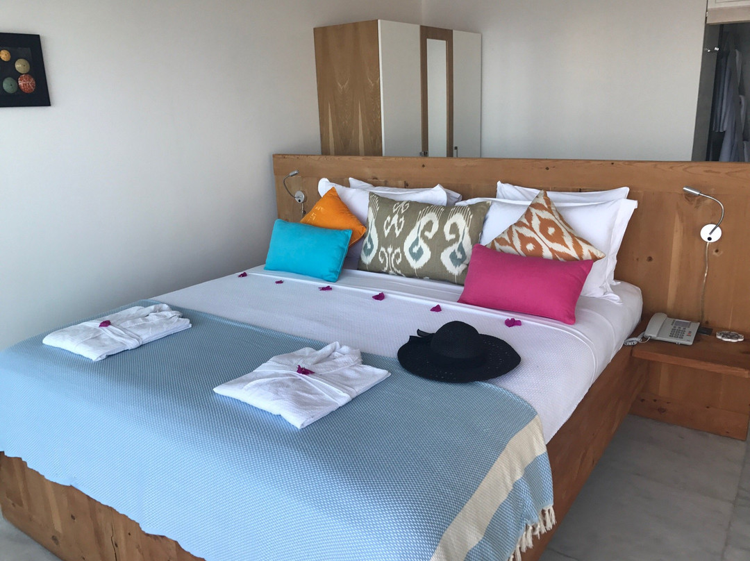 Mandalina Luxury Boutique Otel主图