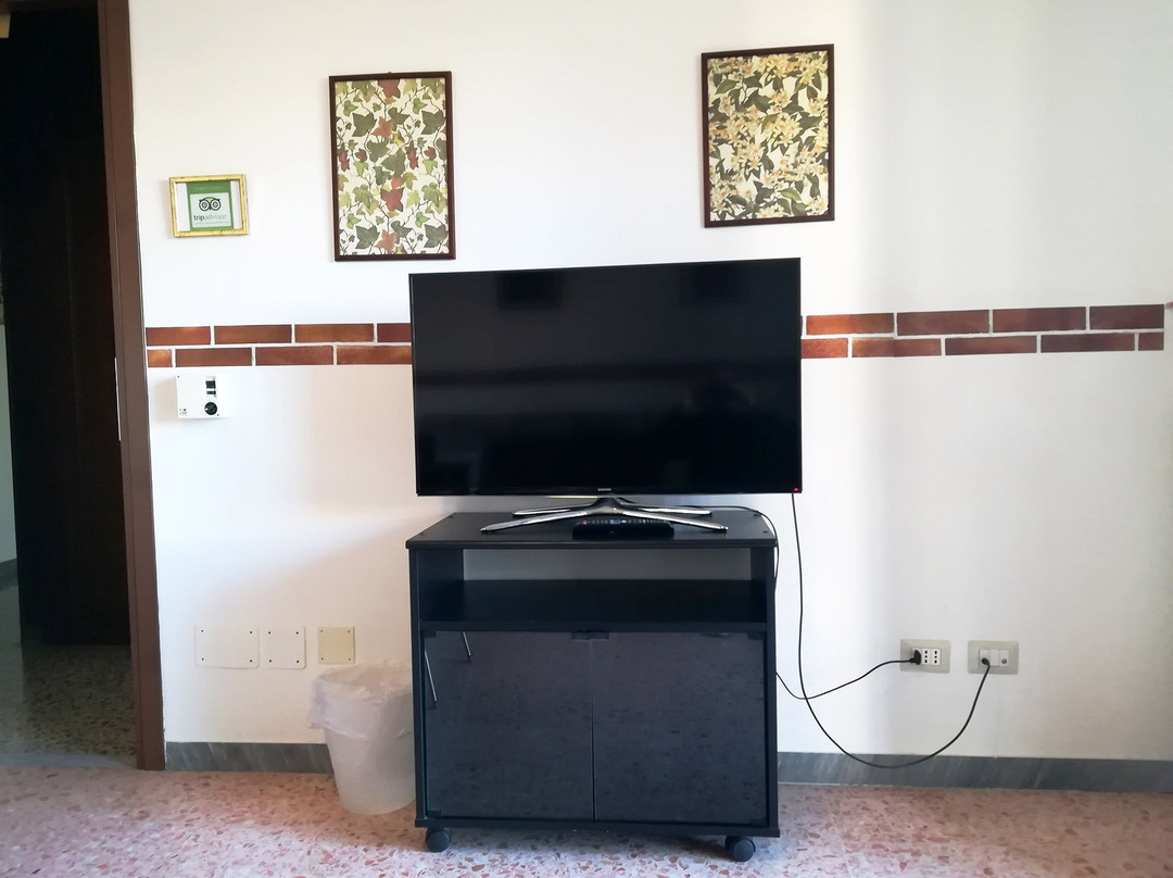 Il Fiore di Roma主图