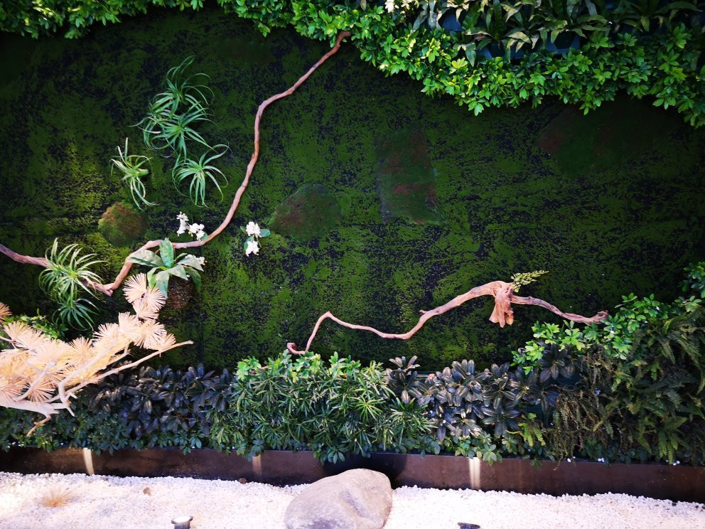 大鸭梨烤鸭店(田村店)主图