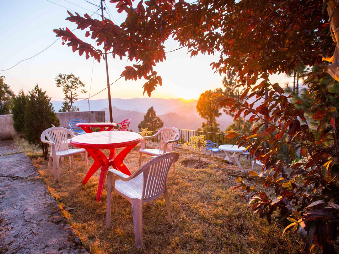 Bluepine Orchard主图