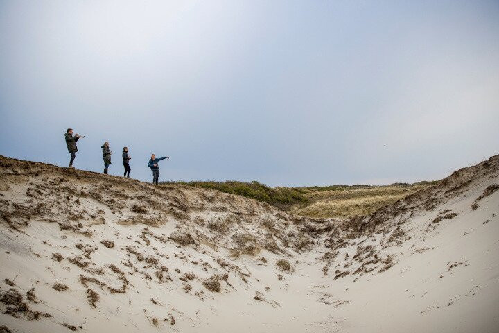 Workshops natuurfotografie - De Witte Haas