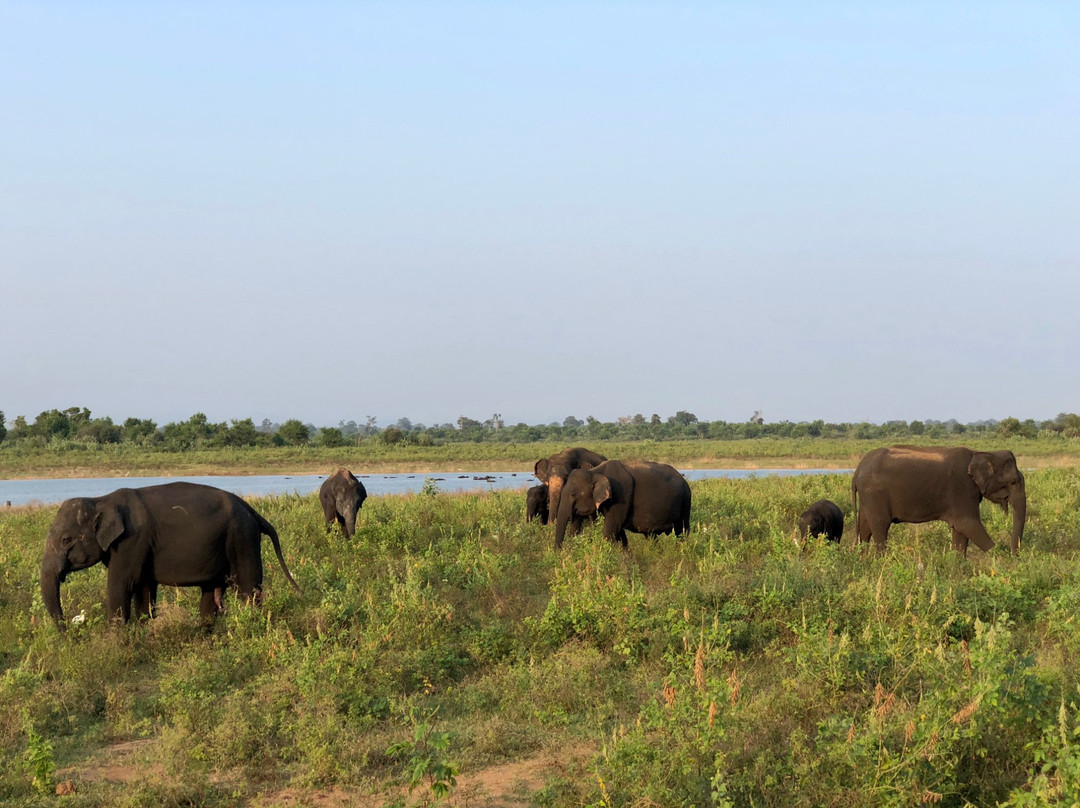 Udawalawe Trails景点图片