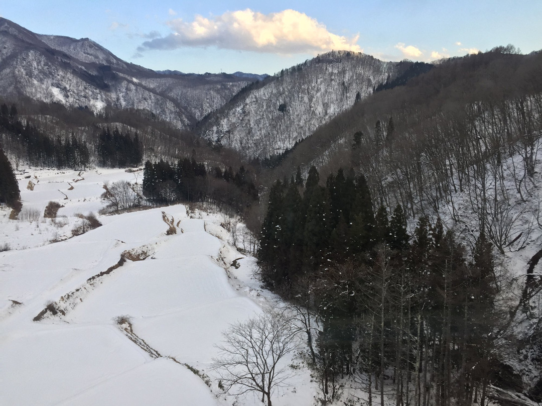 Tsugaike Kogen Ski Resort景点图片