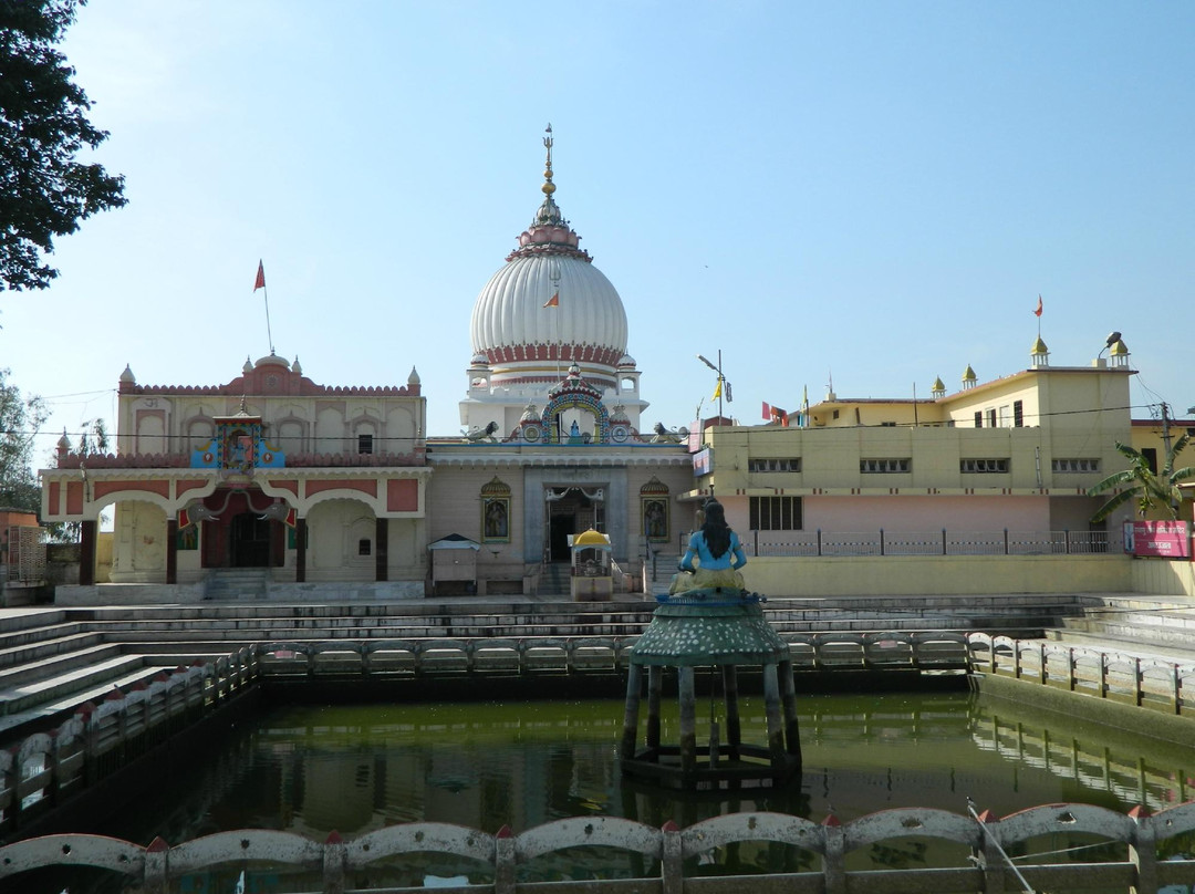 Sthaneshwar Mahadev Temple景点图片