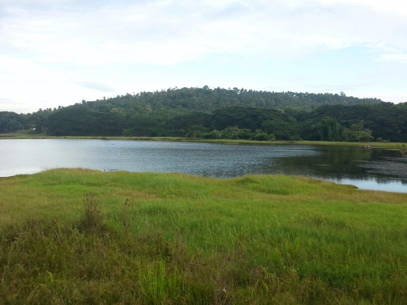 Mavoor Wetlands景点图片