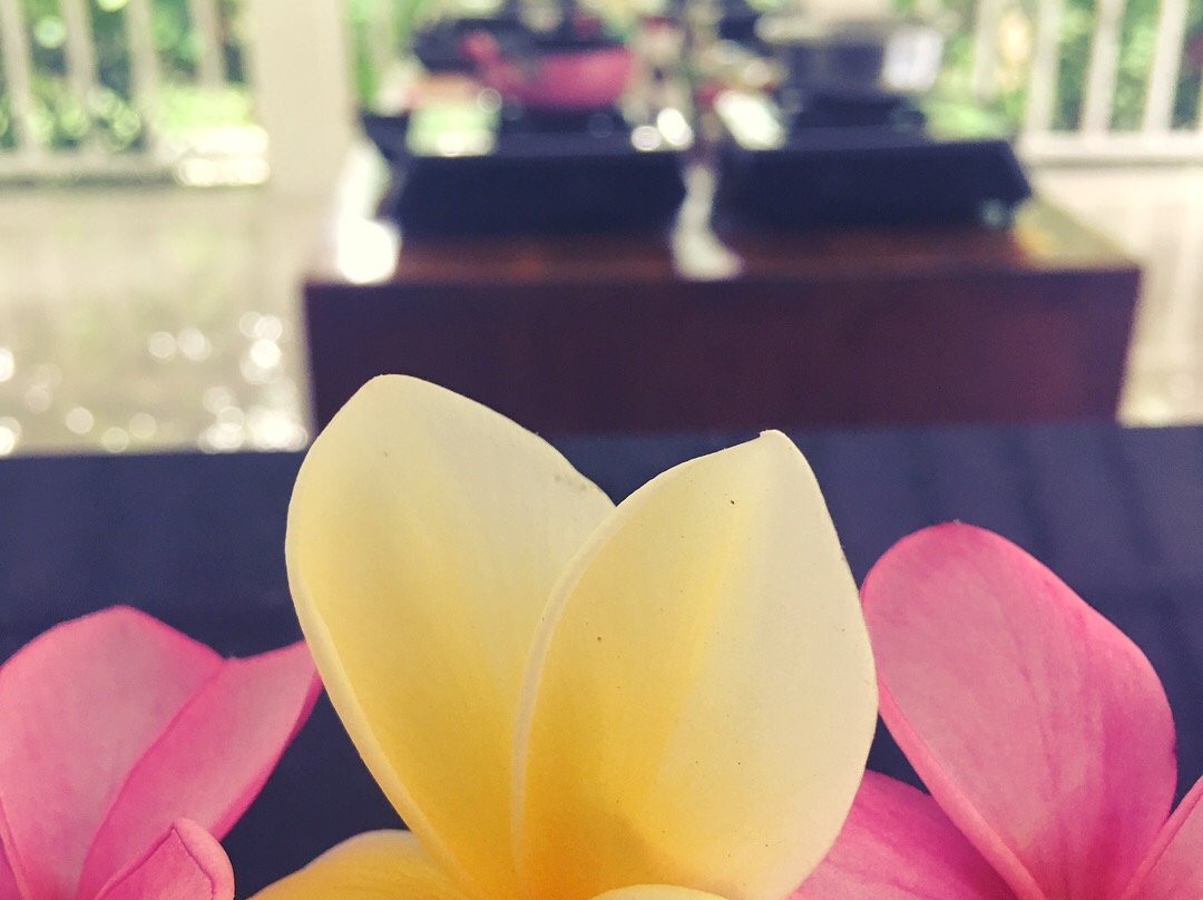 Anggrek Putih Lombok Cooking Class景点图片