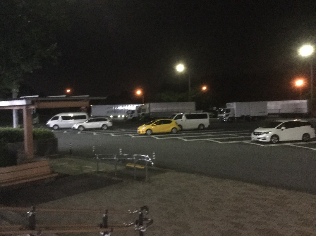 Chiyoda Parking Area Inbound景点图片