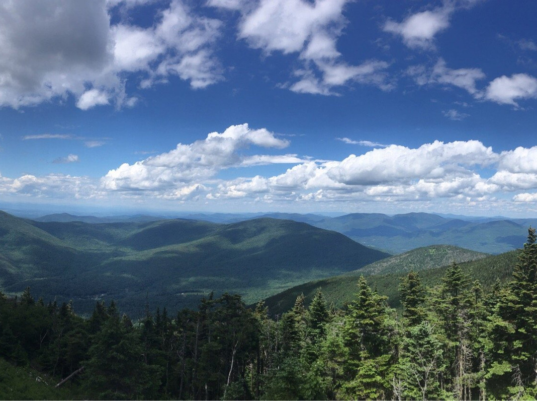 Arlington旅游攻略图片