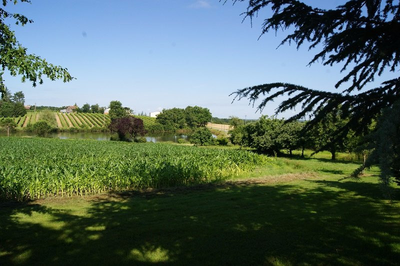 Montpon-Menesterol旅游攻略图片