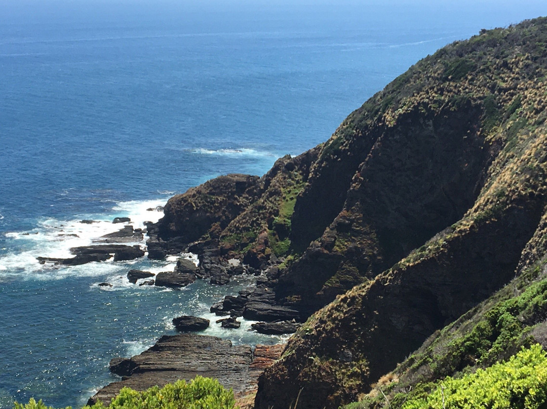 Tarwin Lower旅游攻略图片