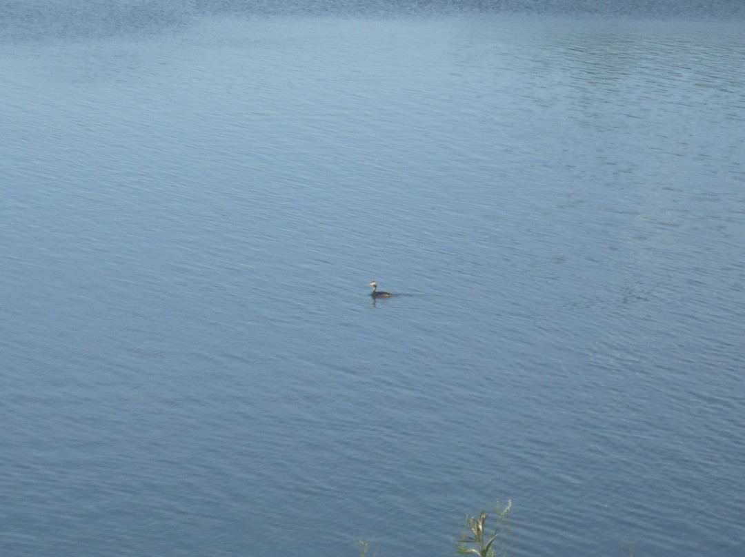 Yugo-Kamskiy旅游攻略图片