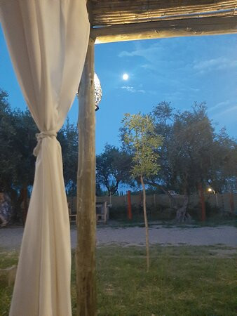 Nelumbo Petit Chalet主图