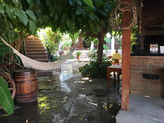 El Viejo Molino主图