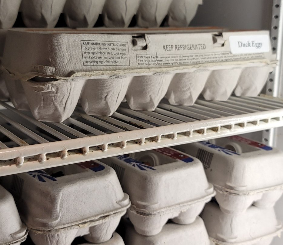 Willow Valley Farm-Glen Arm必去景点