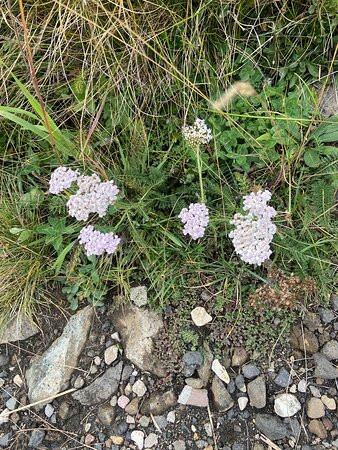 西瑟阿尔姆康帕特思酒店主图