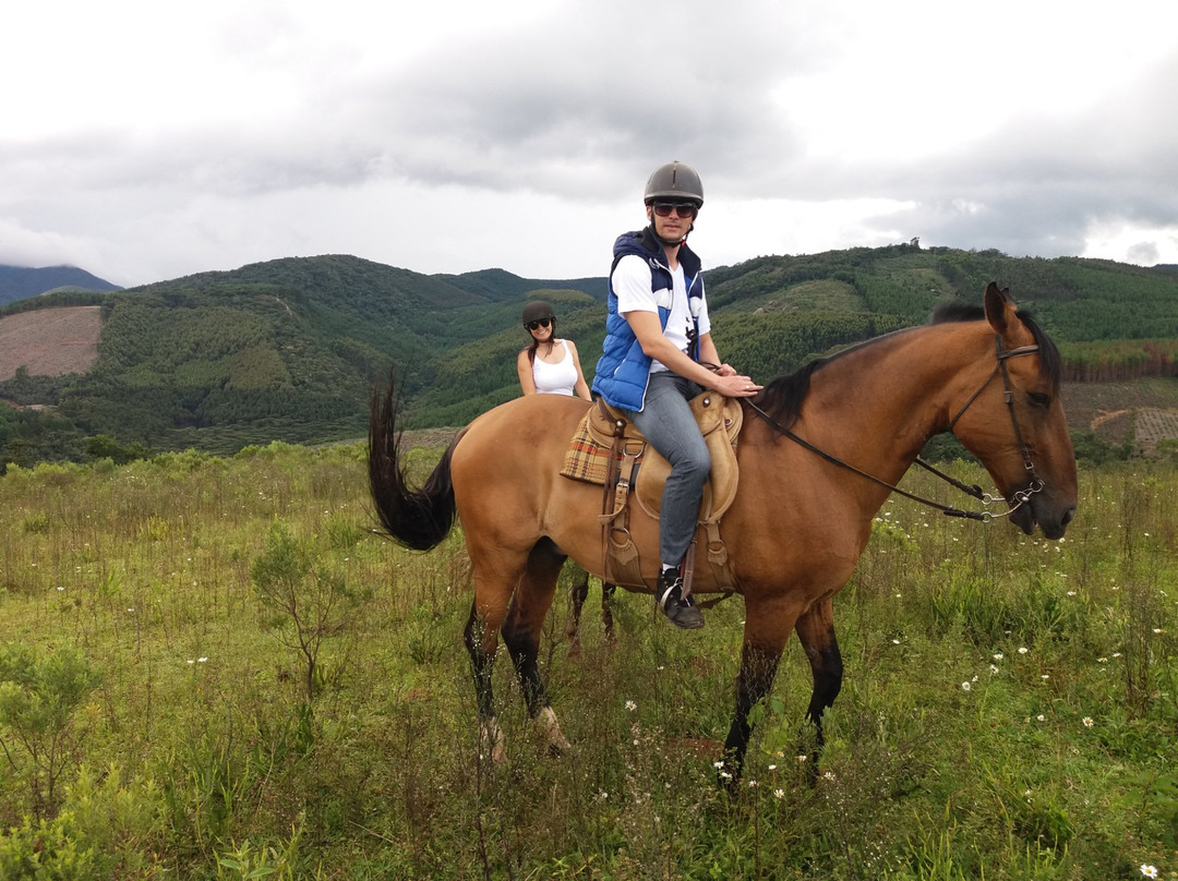 Haras Encanto Horse景点图片