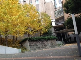 Edo Castle Outside Moat Trace Underground Exhibition Room景点图片