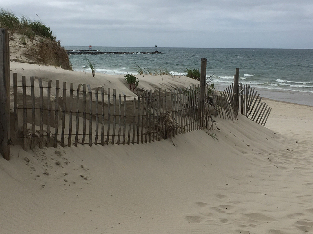 Cold Storage Beach景点图片