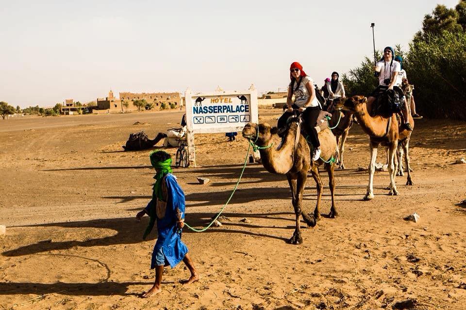 Nasser Palace Hôtel & Bivouacs-官方